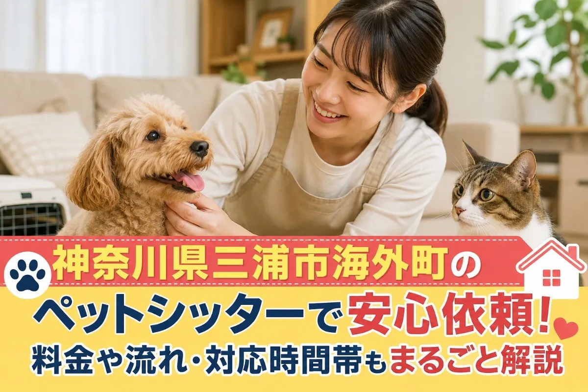 神奈川県三浦市海外町のペットシッターで安心依頼!料金や流れ・対応時間帯もまるごと解説